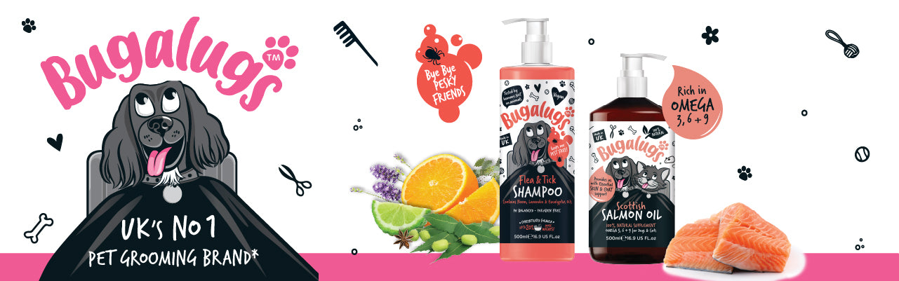 Itchy Skin and Allergy Season Blog Banner