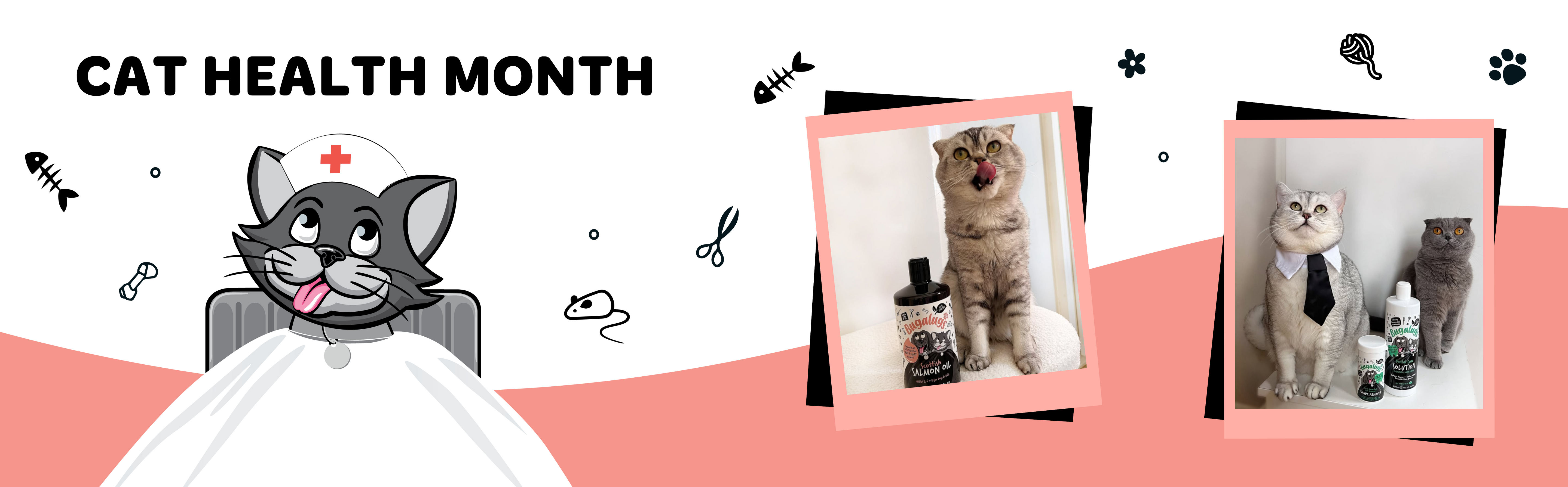 International Cat Health Month with Bugalugs