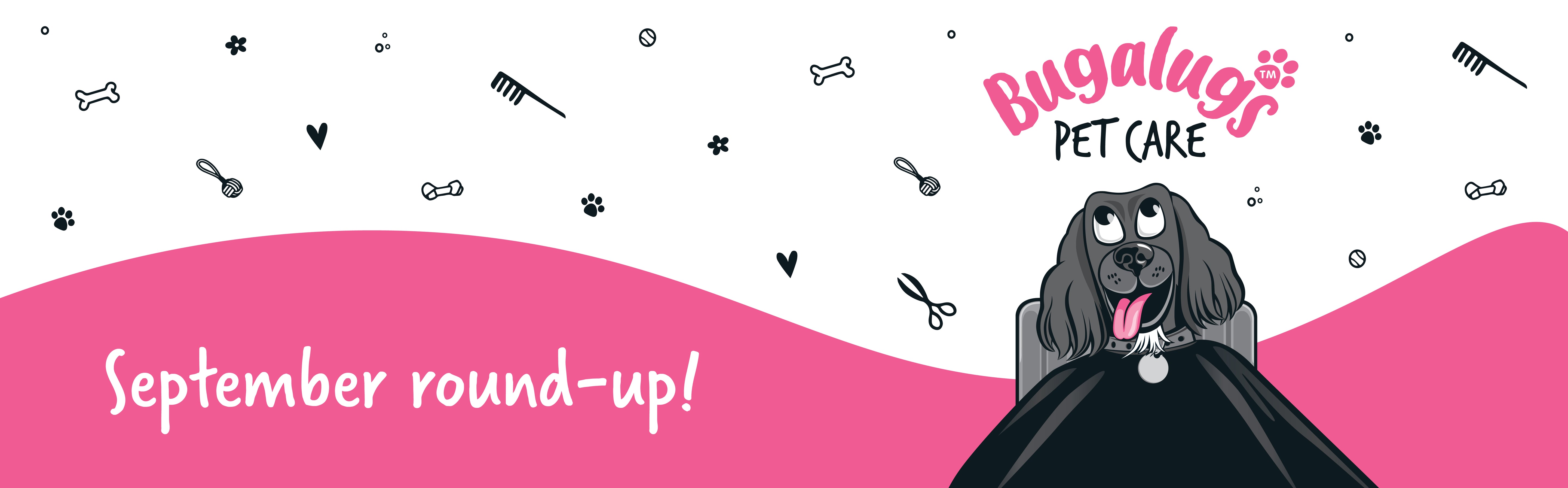 September Round Up Blog Banner