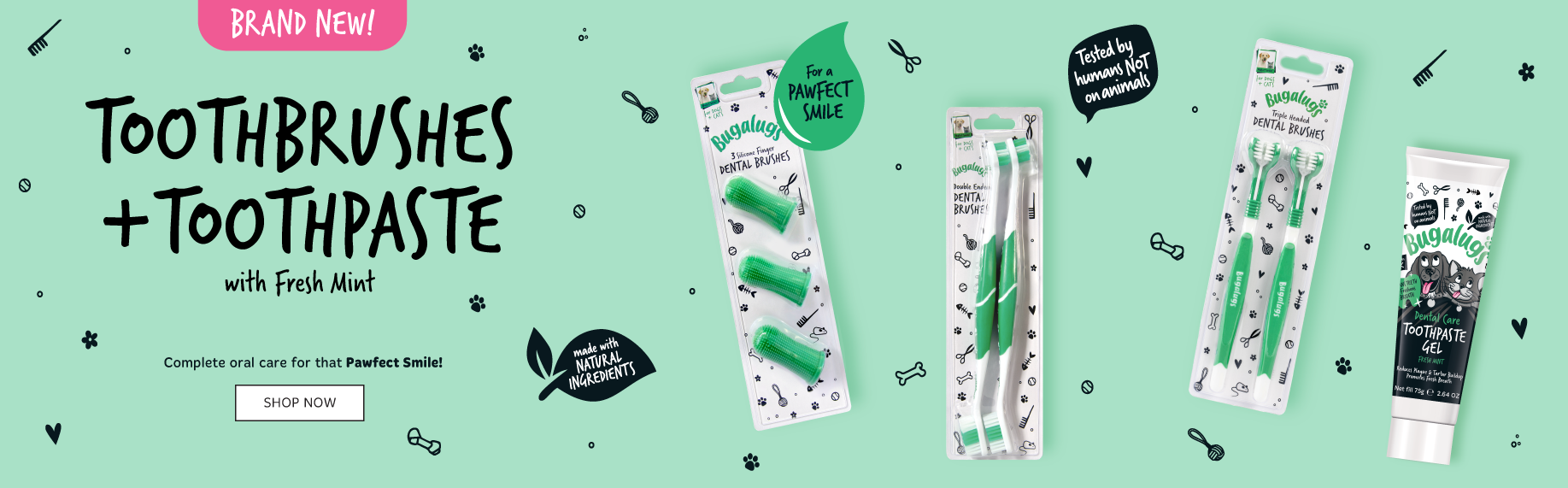 Toothbrush and Toothpaste Blog Banner
