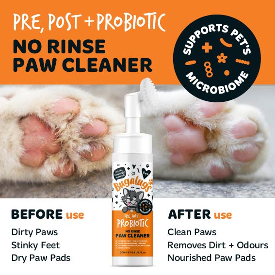Pre, Post + Probiotic No Rinse Paw Cleaner for Cats