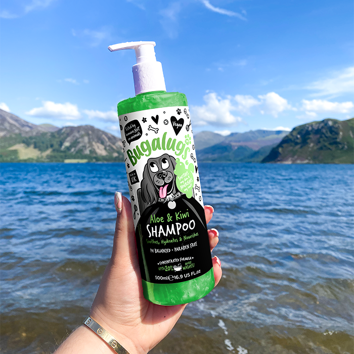 Aloe & Kiwi Dog Shampoo in Lake District