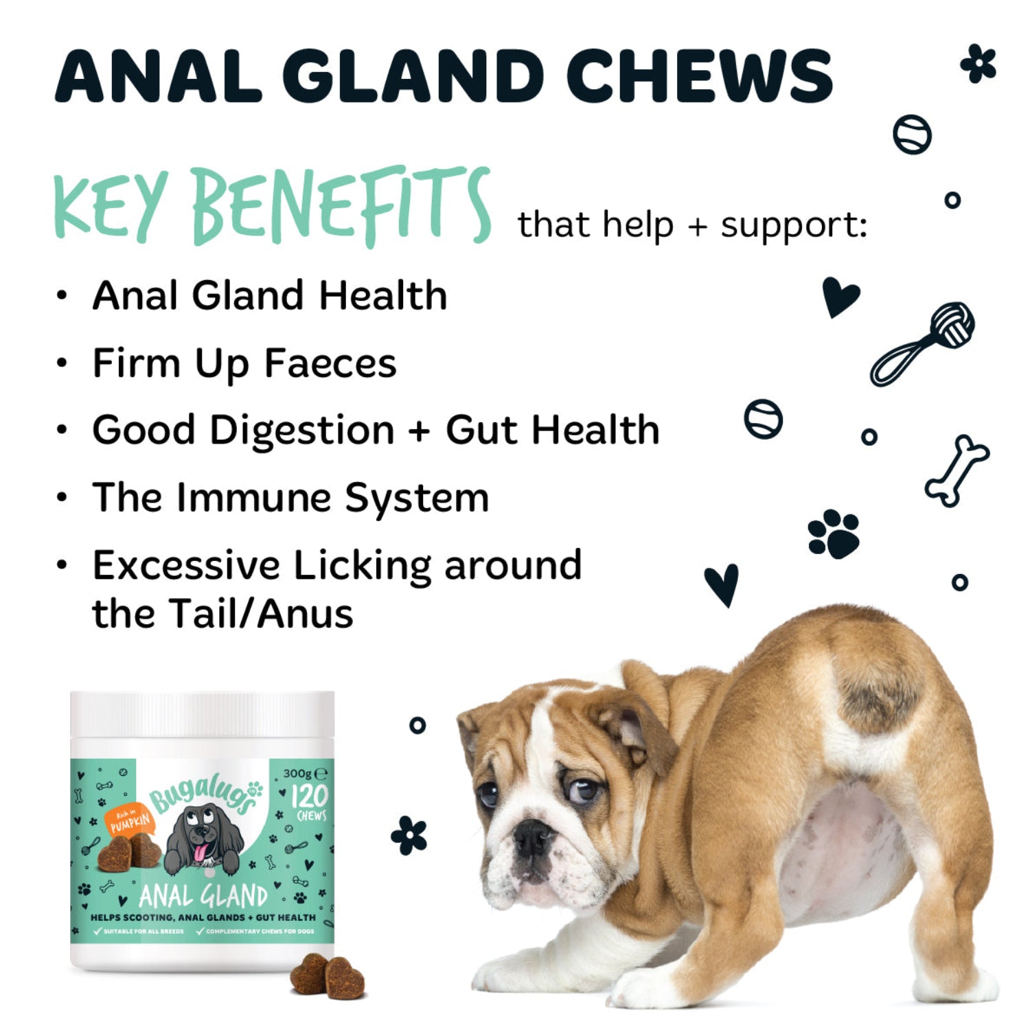 Anal Gland Supplement Chews for Dogs