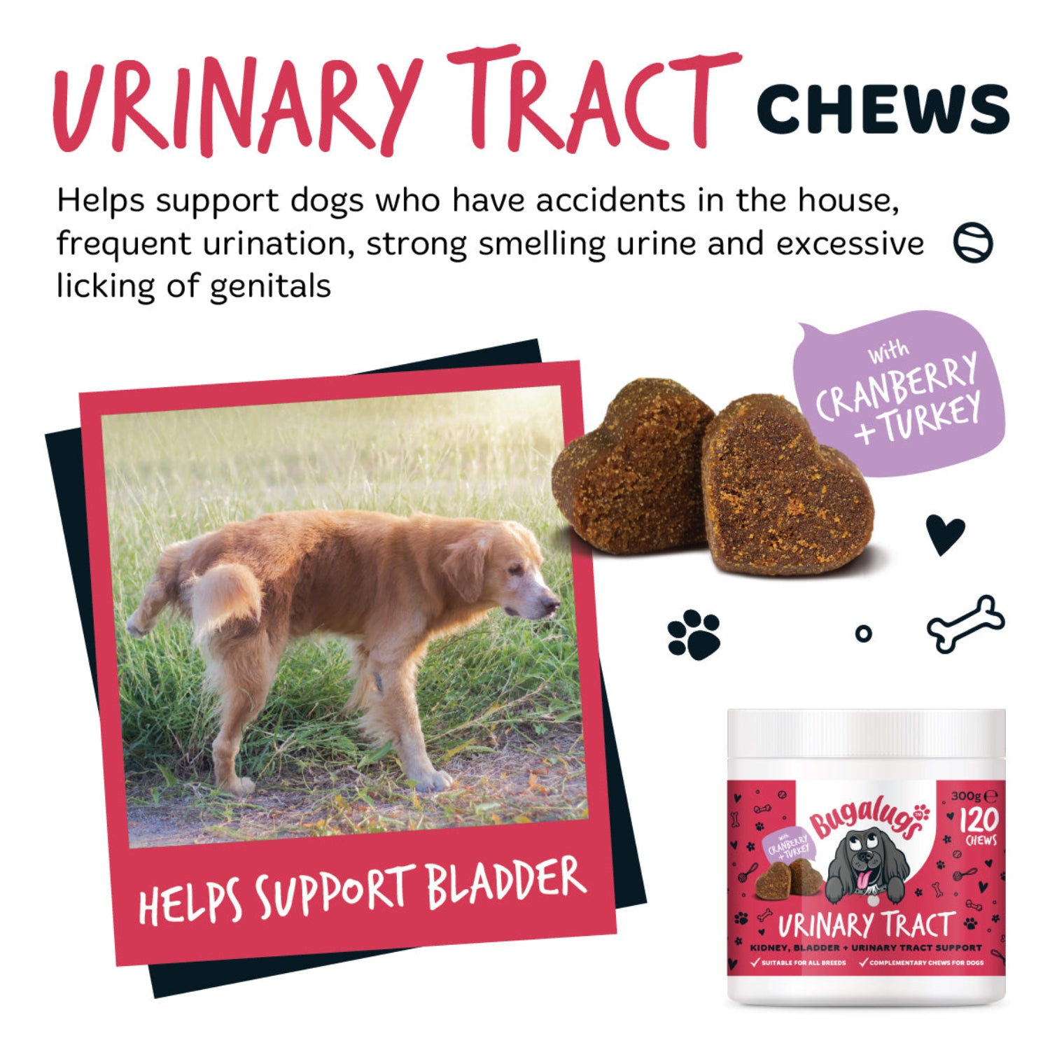 Urinary Tract Supplement Chews for Dogs