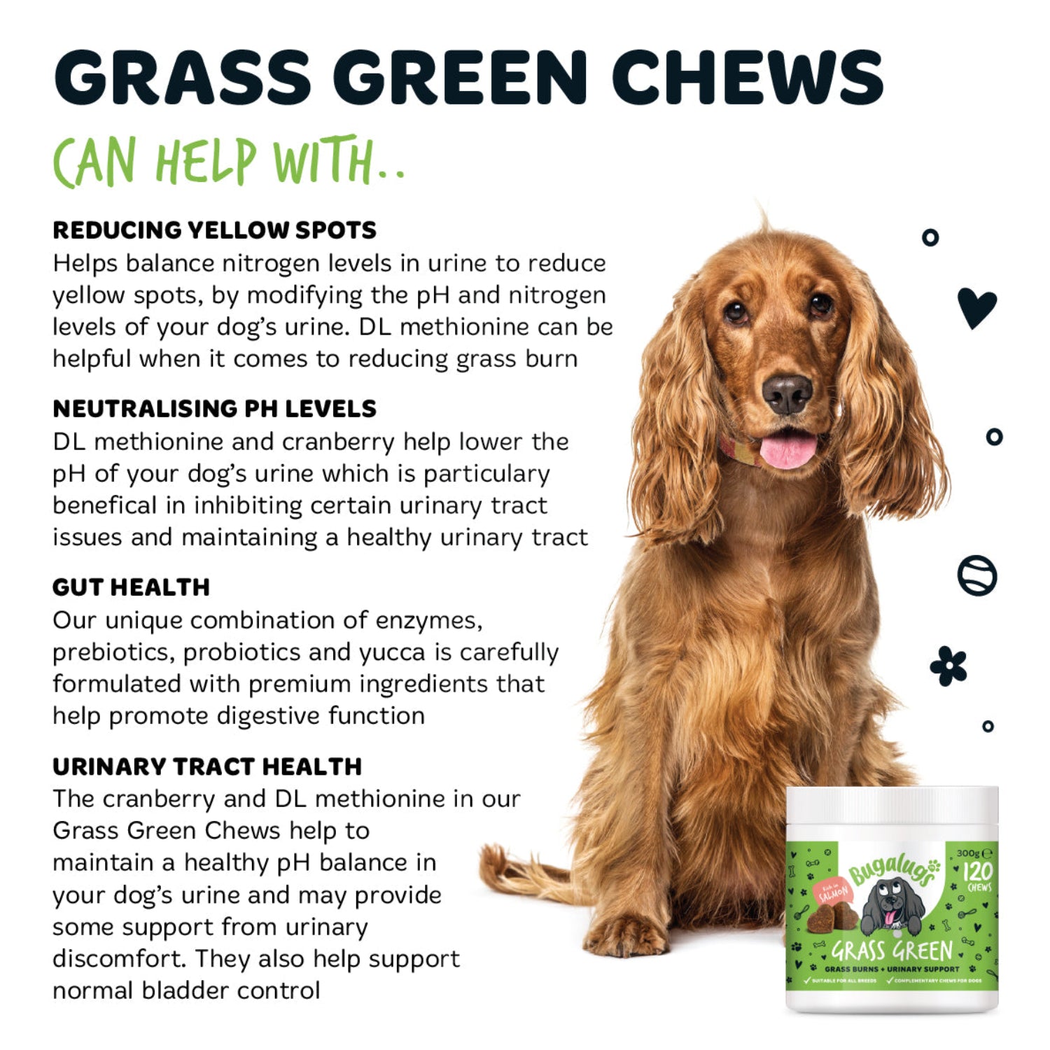Grass Green Supplement Chews for Dogs
