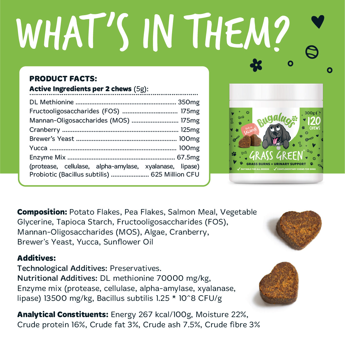 Grass Green Supplement Chews for Dogs
