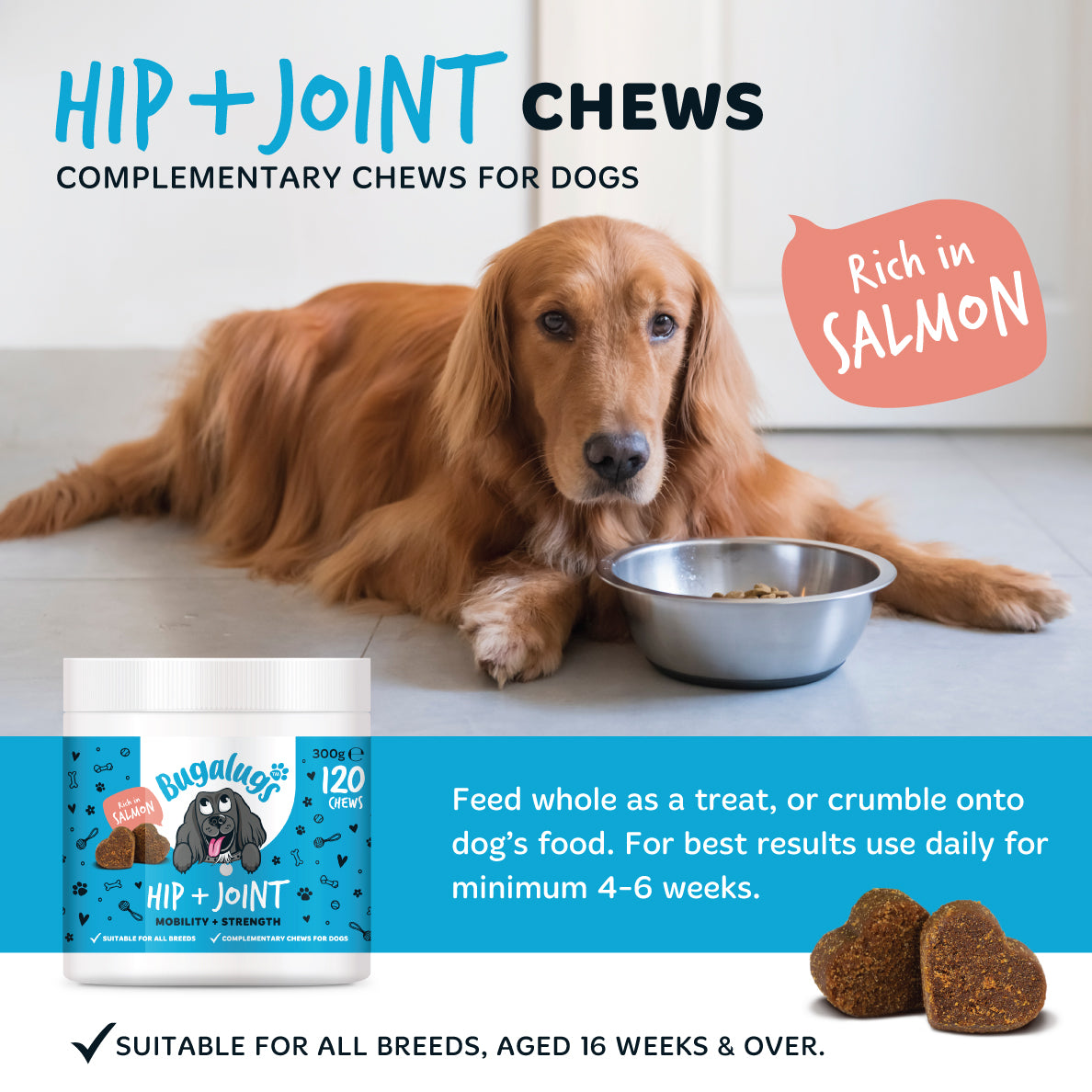 Hip & Joint Care Supplement Chews for Dogs 6-Pack