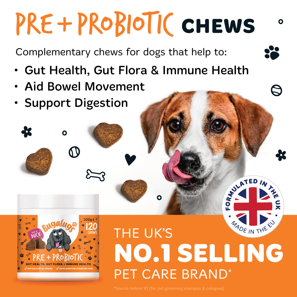 Pre & Probiotic Supplement Chews for Dogs