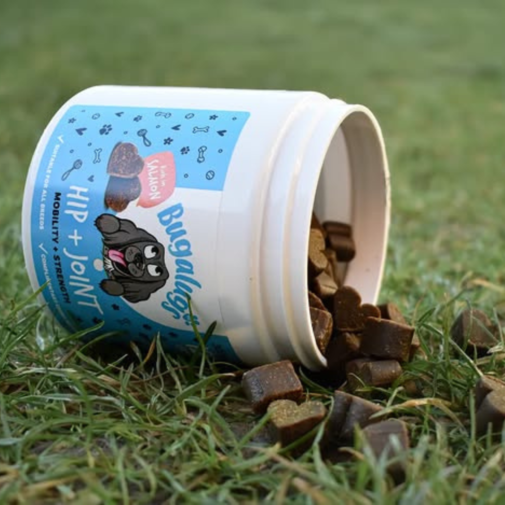 Hip & Joint Care Supplement Chews for Dogs