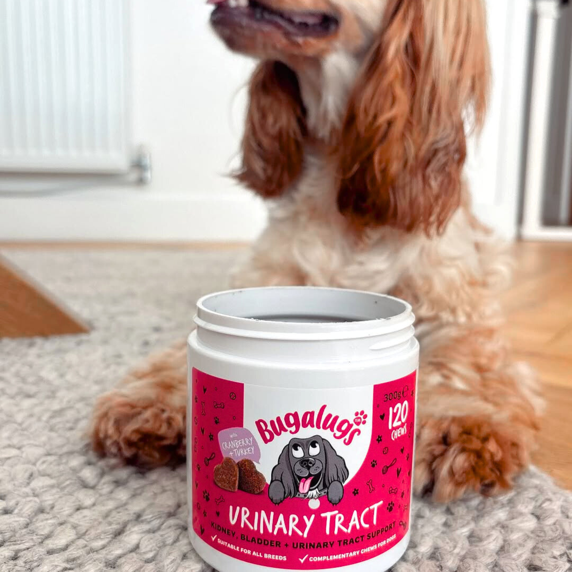 Urinary Tract Supplement Chews for Dogs