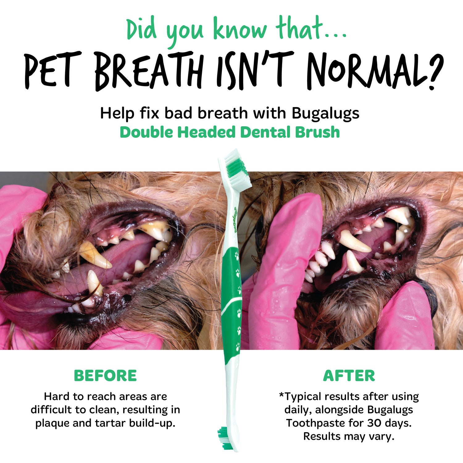 Pack of 2 Double Ended Dental Care Toothbrushes for Dogs & Cats