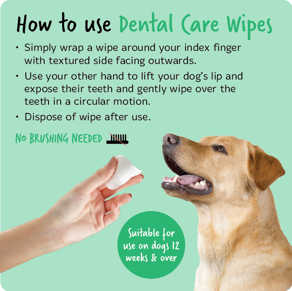 How to Use Bugalugs Dental Care Wipes