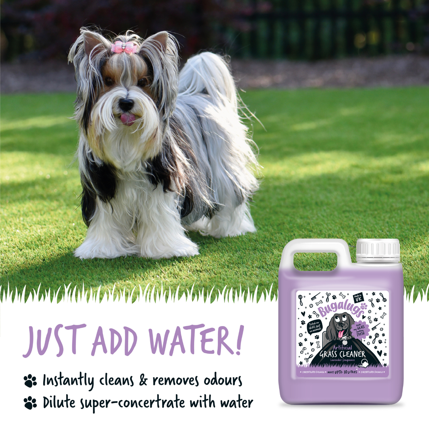 Bugalugs Artificial Grass Cleaner - Lavender Fragrance - Just add water - makes up to 10 litres