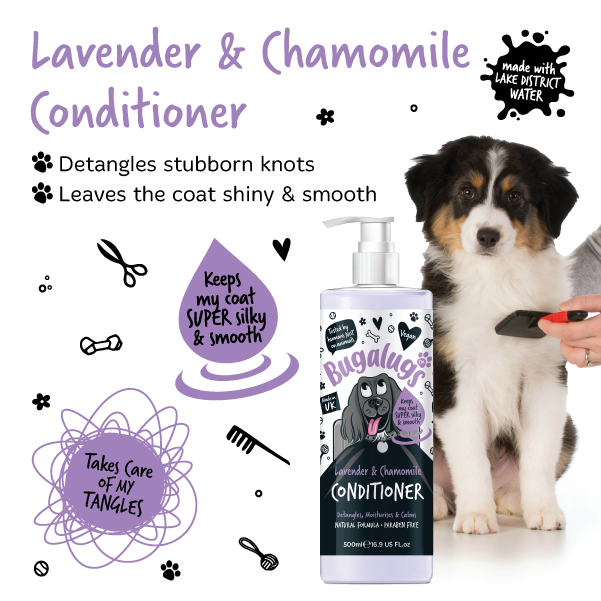 Lavender conditioner Lake District Water