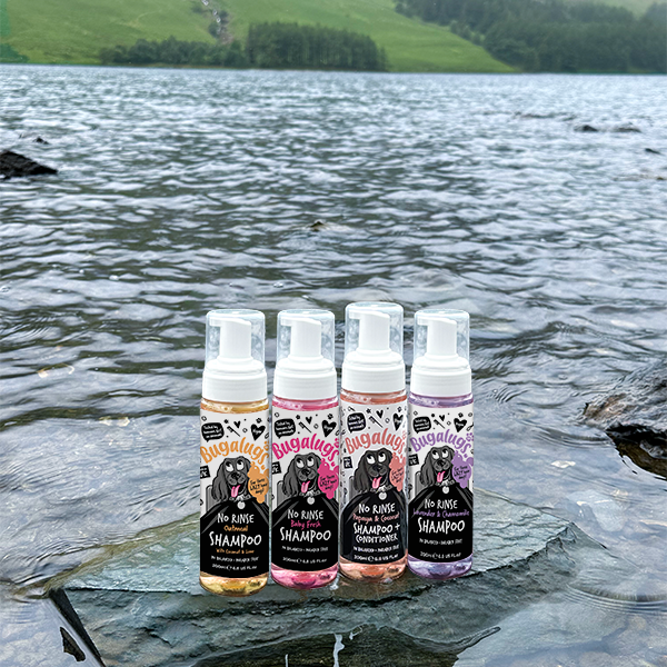 No Rinse Dog Shampoo Lake District