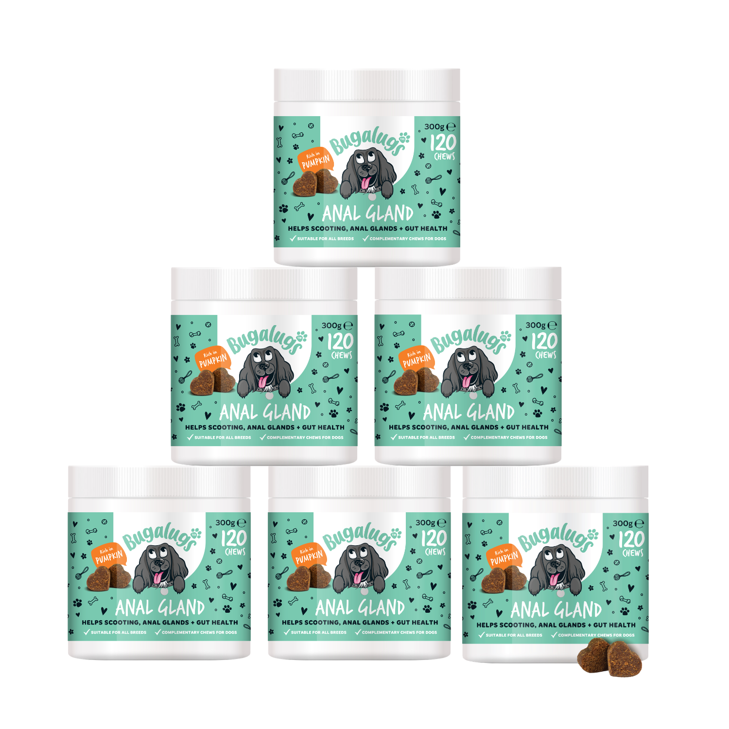 Anal Gland Supplement Chews for Dogs 6-Pack