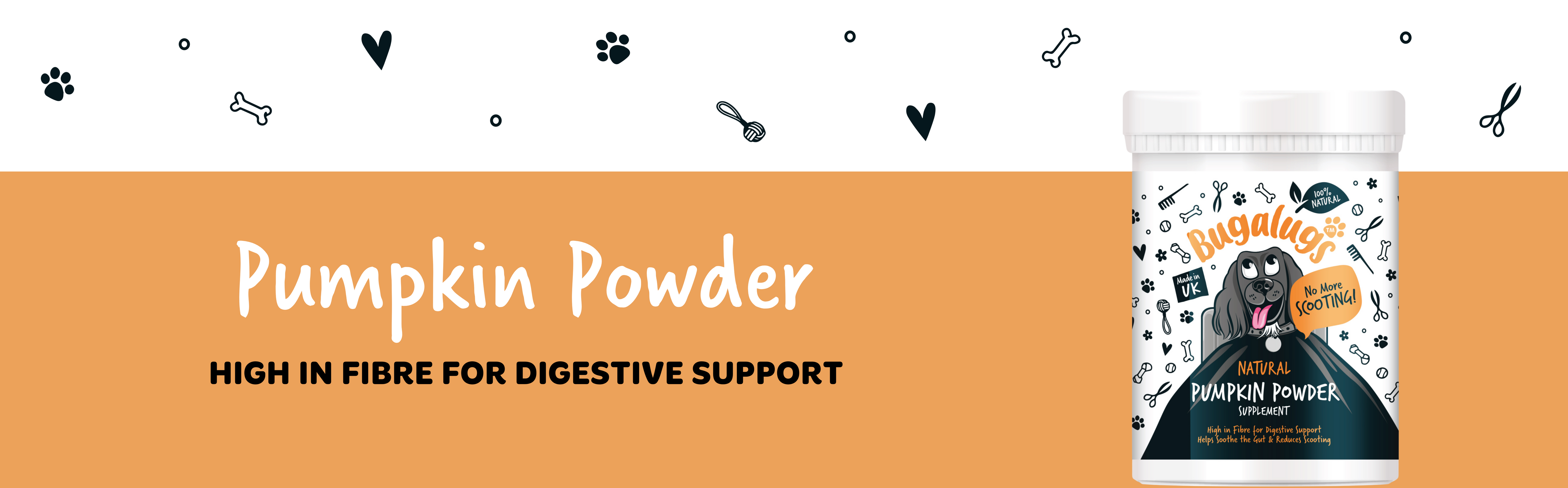 Pumpkin Powder Blog Banner