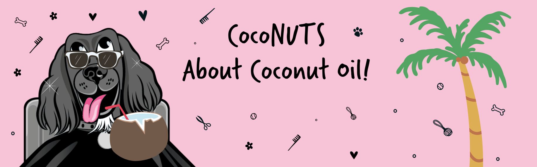 Coconuts about Coconut Oil Blog Banner