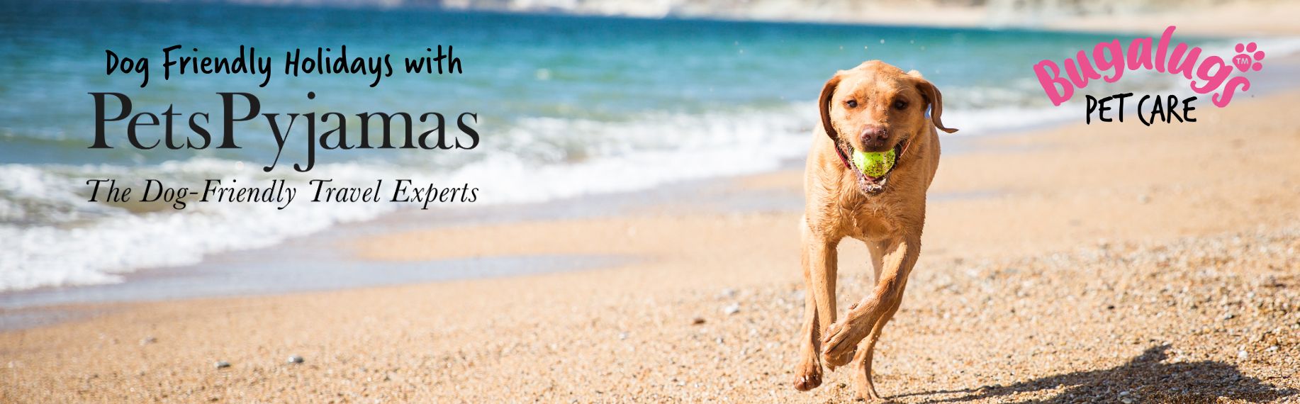 Dog-friendly Holidays Blog Banner in partnership with Pets' Pyjamas