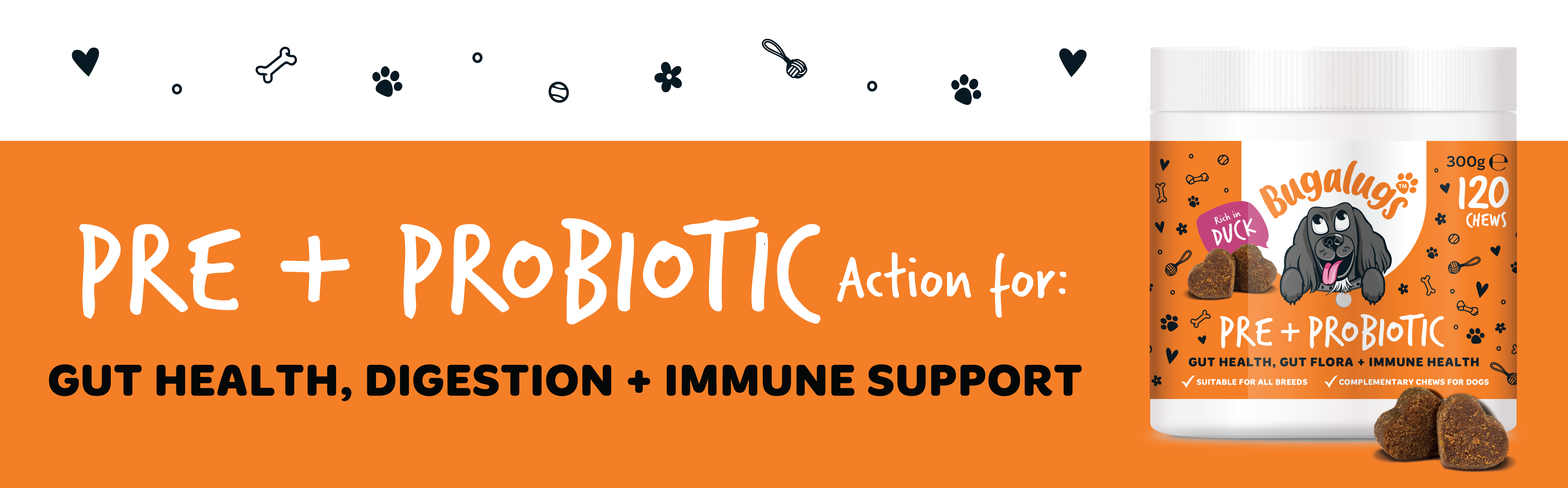 Pre and ProBiotic Blog Banner 