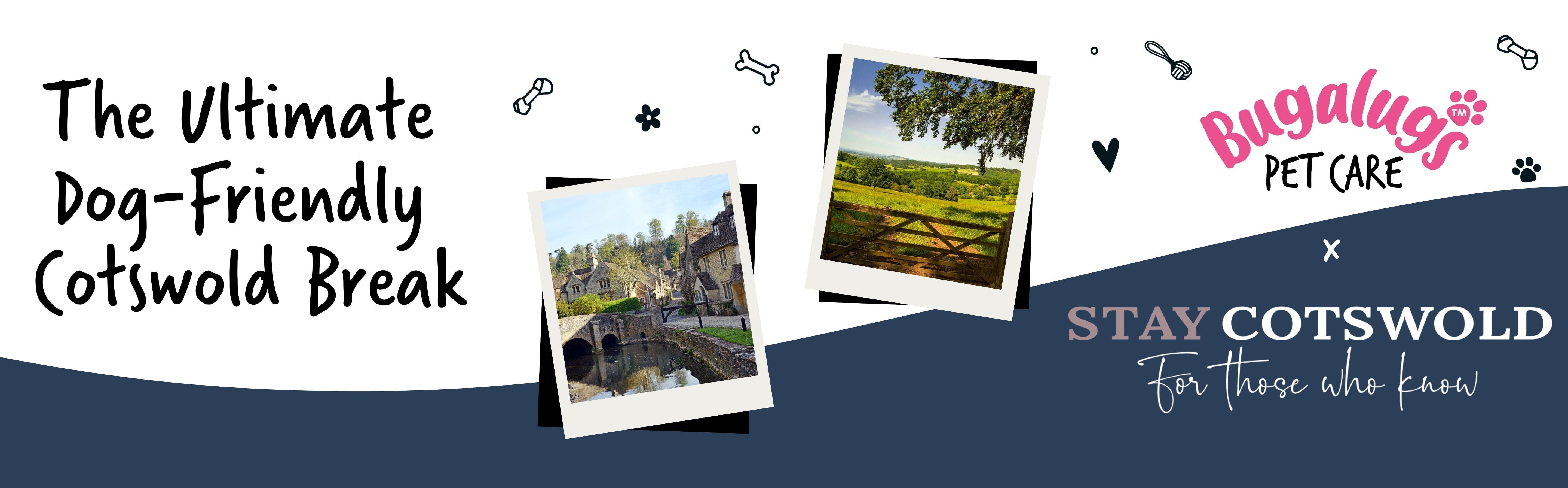 The Ultimate Dog-Friendly Cotswold Break with StayCotswold