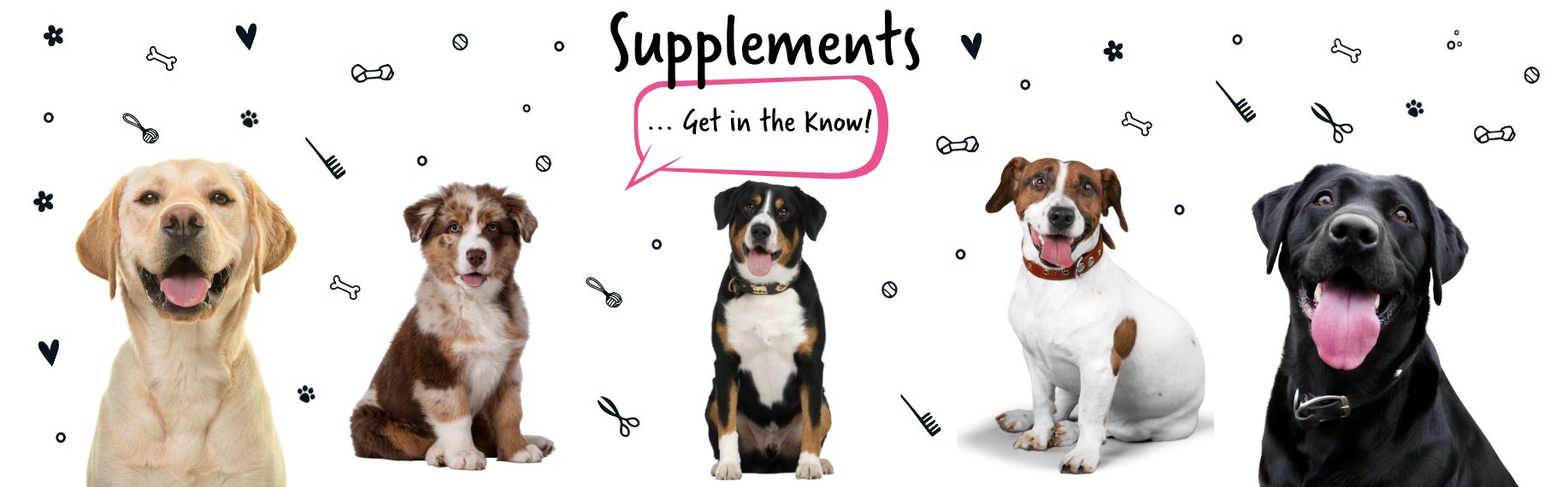 Supplements Get in the Know Blog Banner