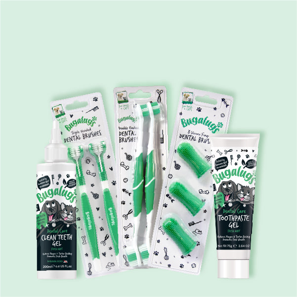 Pet Toothpaste & Toothbrushes