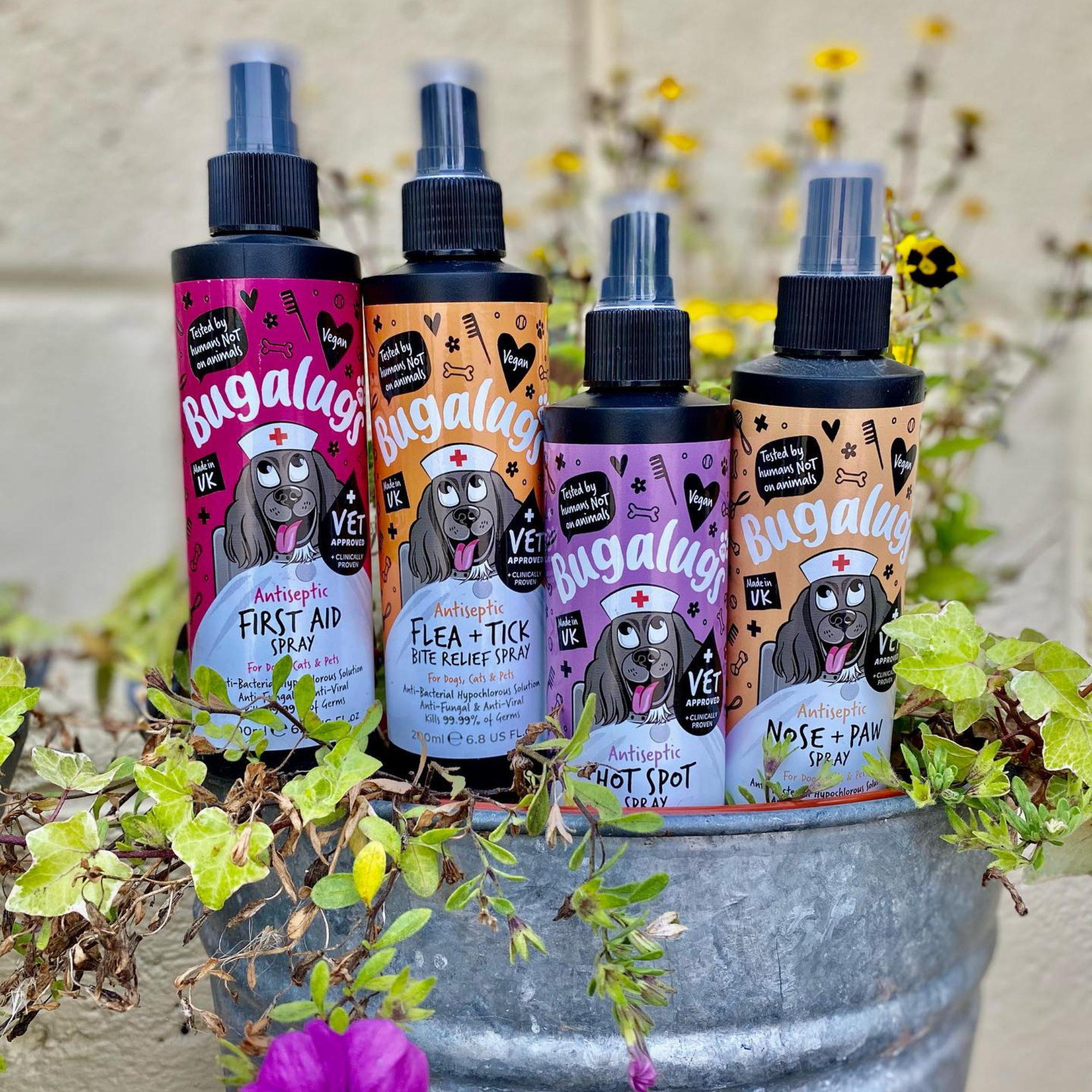 Antiseptic Sprays & Drops