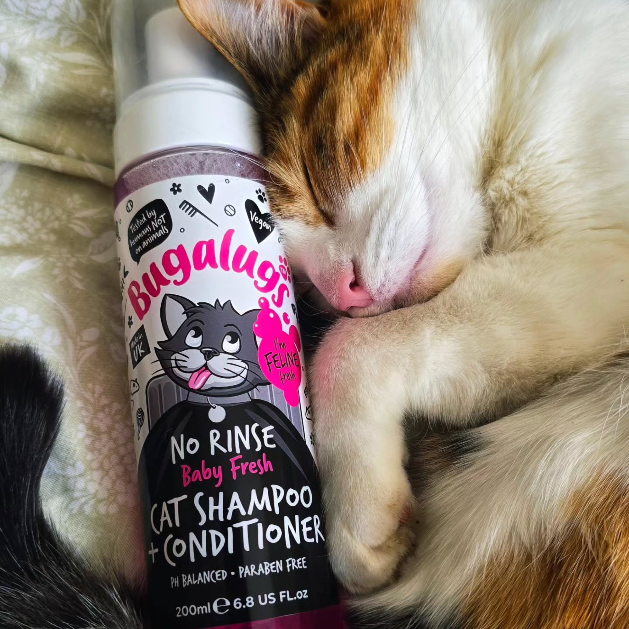 Baby Fresh for Cats