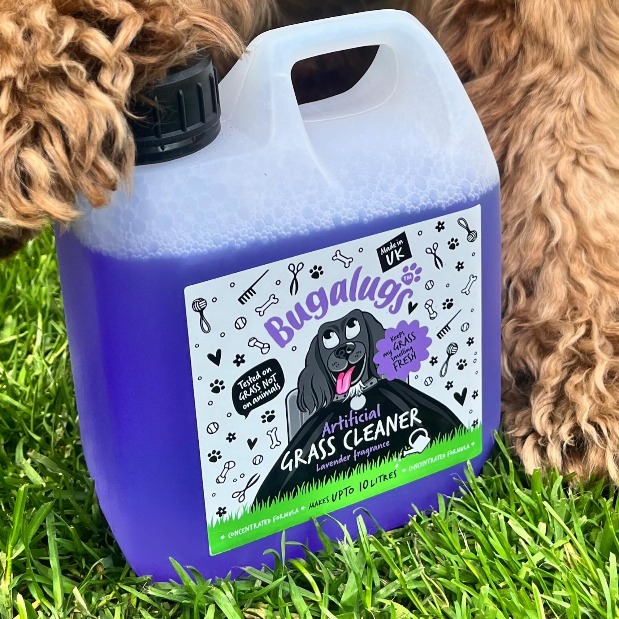 Artificial Grass Cleaner