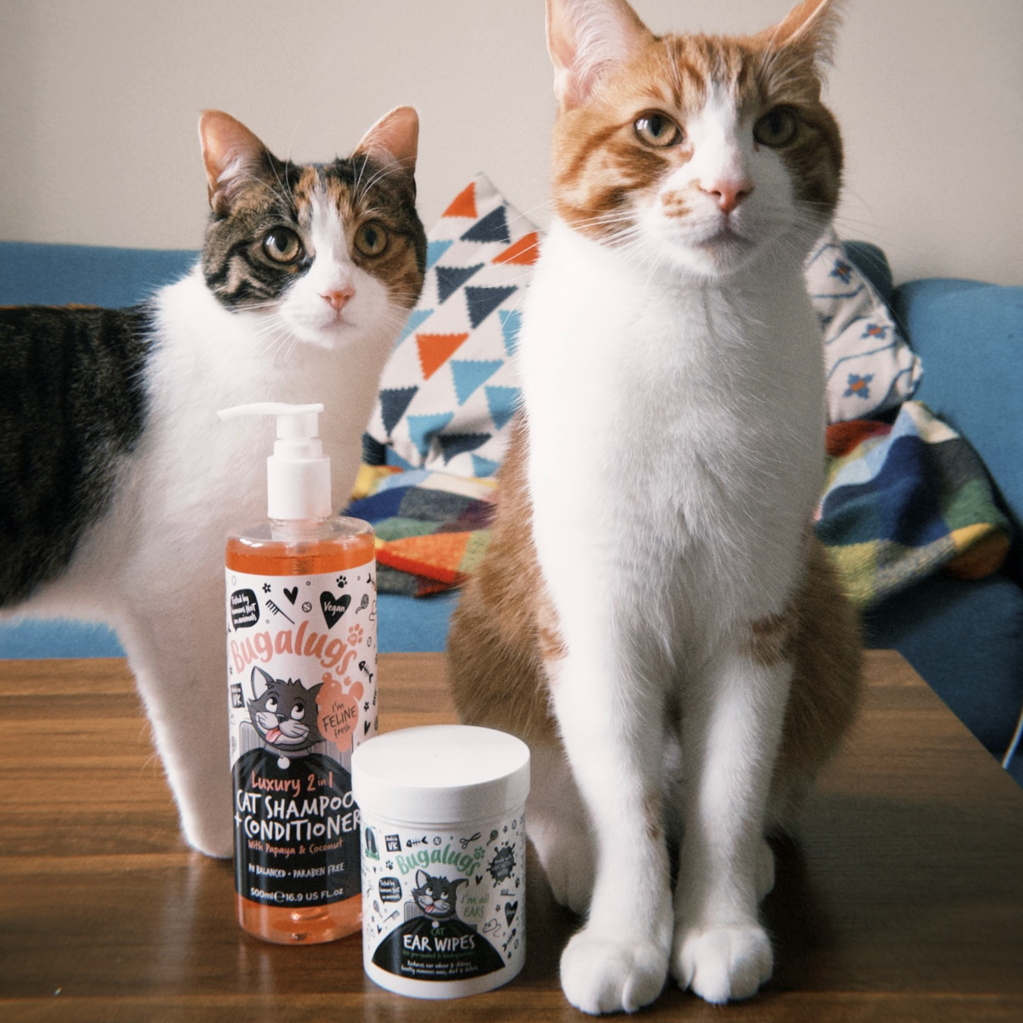 Bugalugs Cat Range
