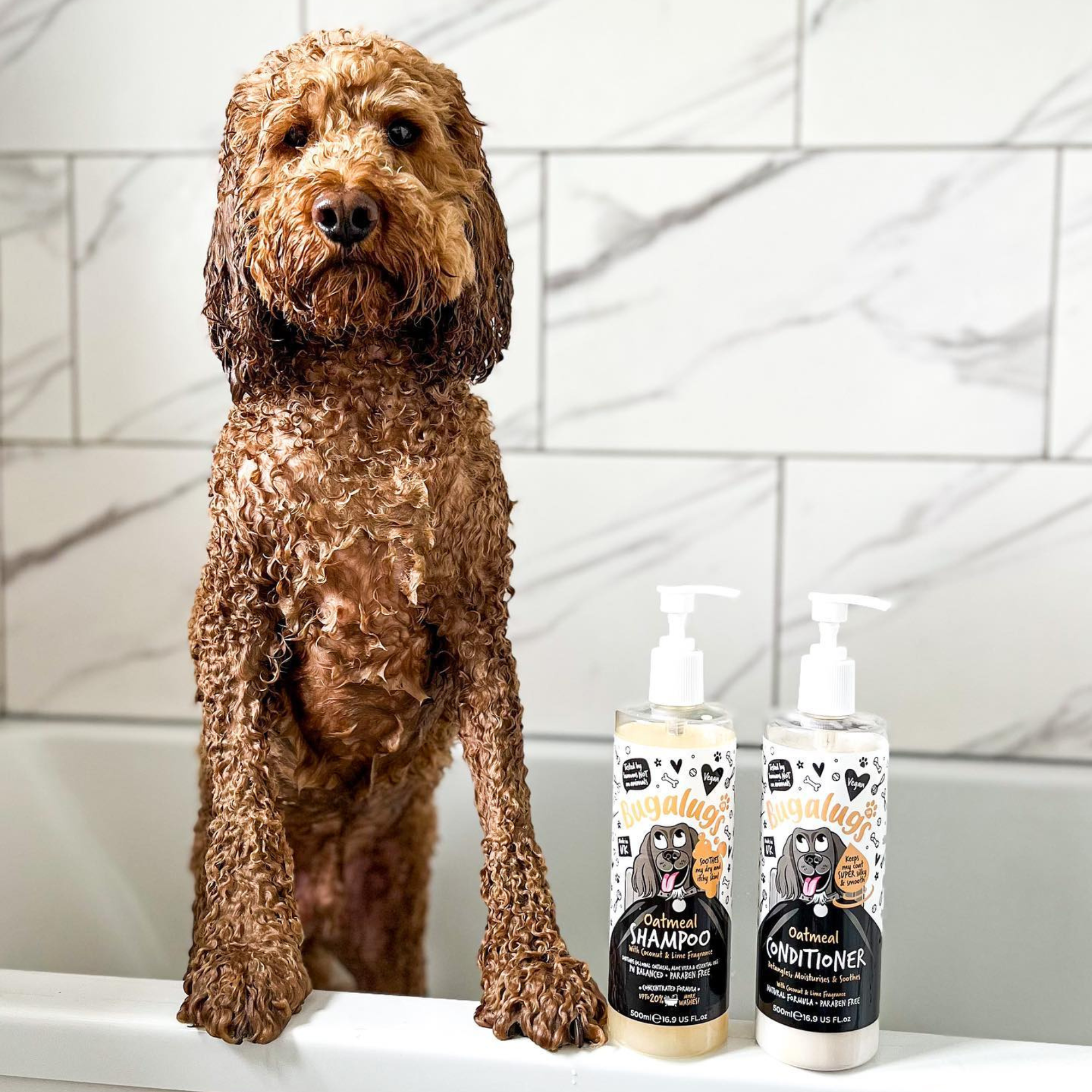 Dog Conditioner