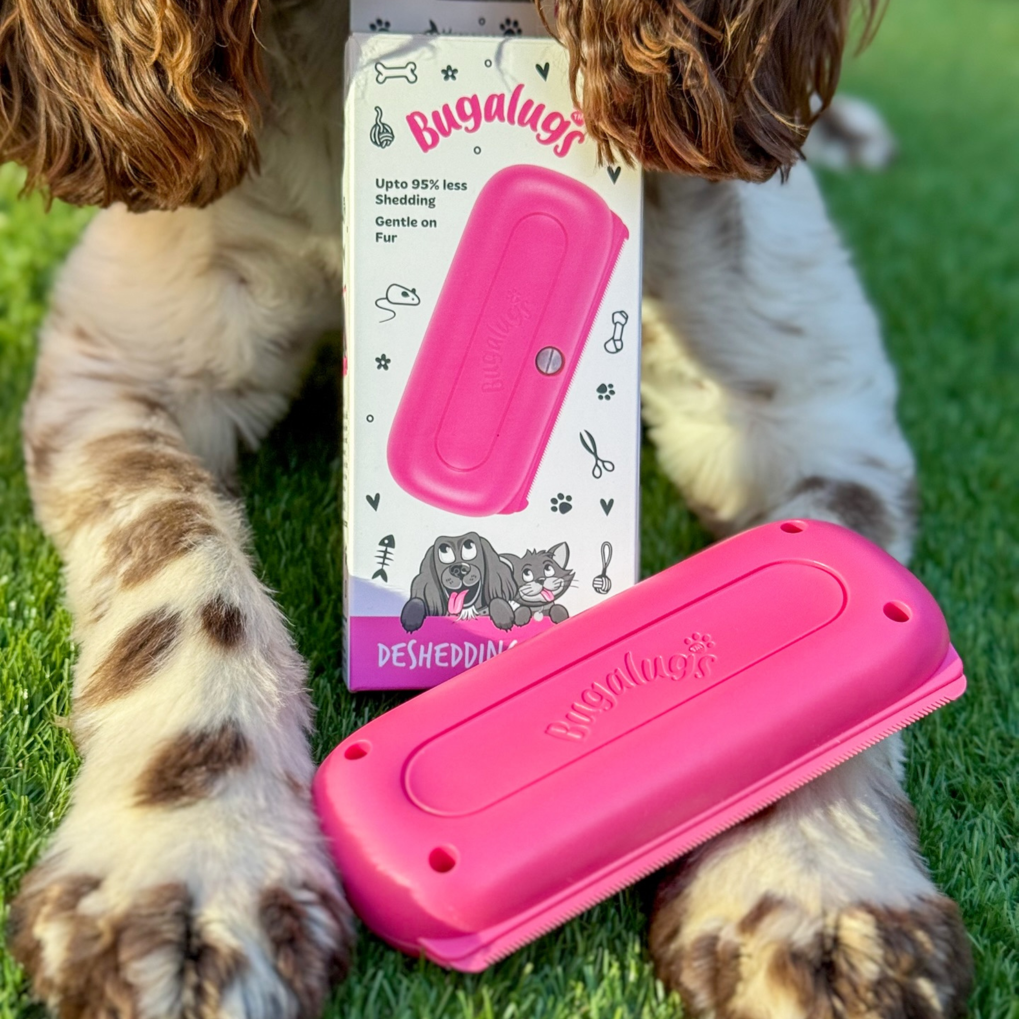 Deshedding Brush