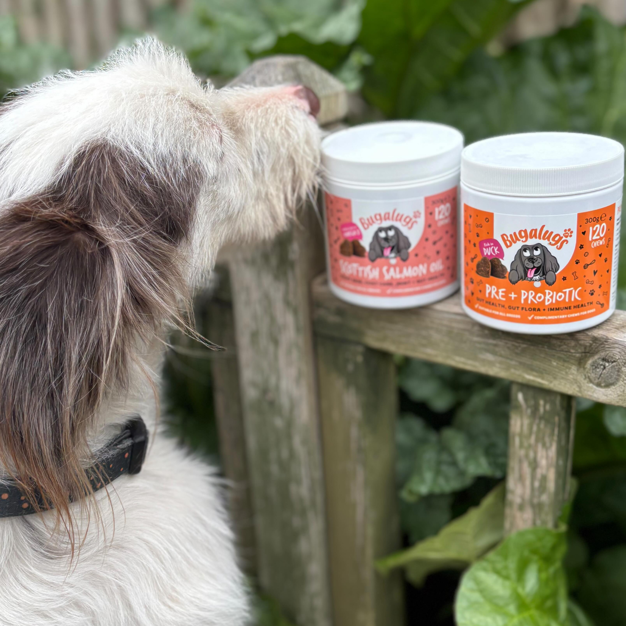 Supplement Chews for Dogs