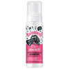 Itch + Immunity No Rinse Shampoo for Dogs