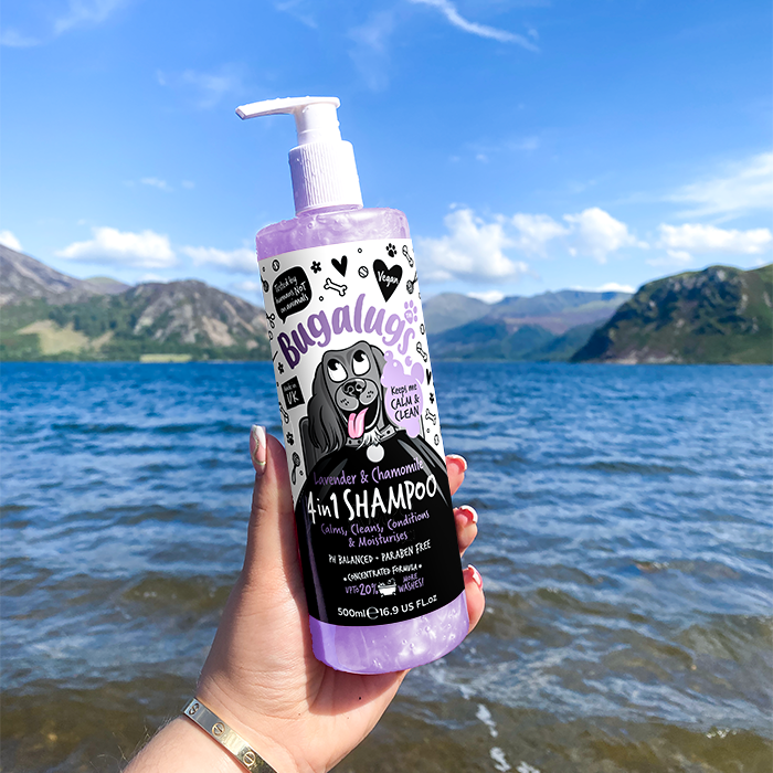 4 in 1 Lavender & Chamomile Dog Shampoo in Lake District