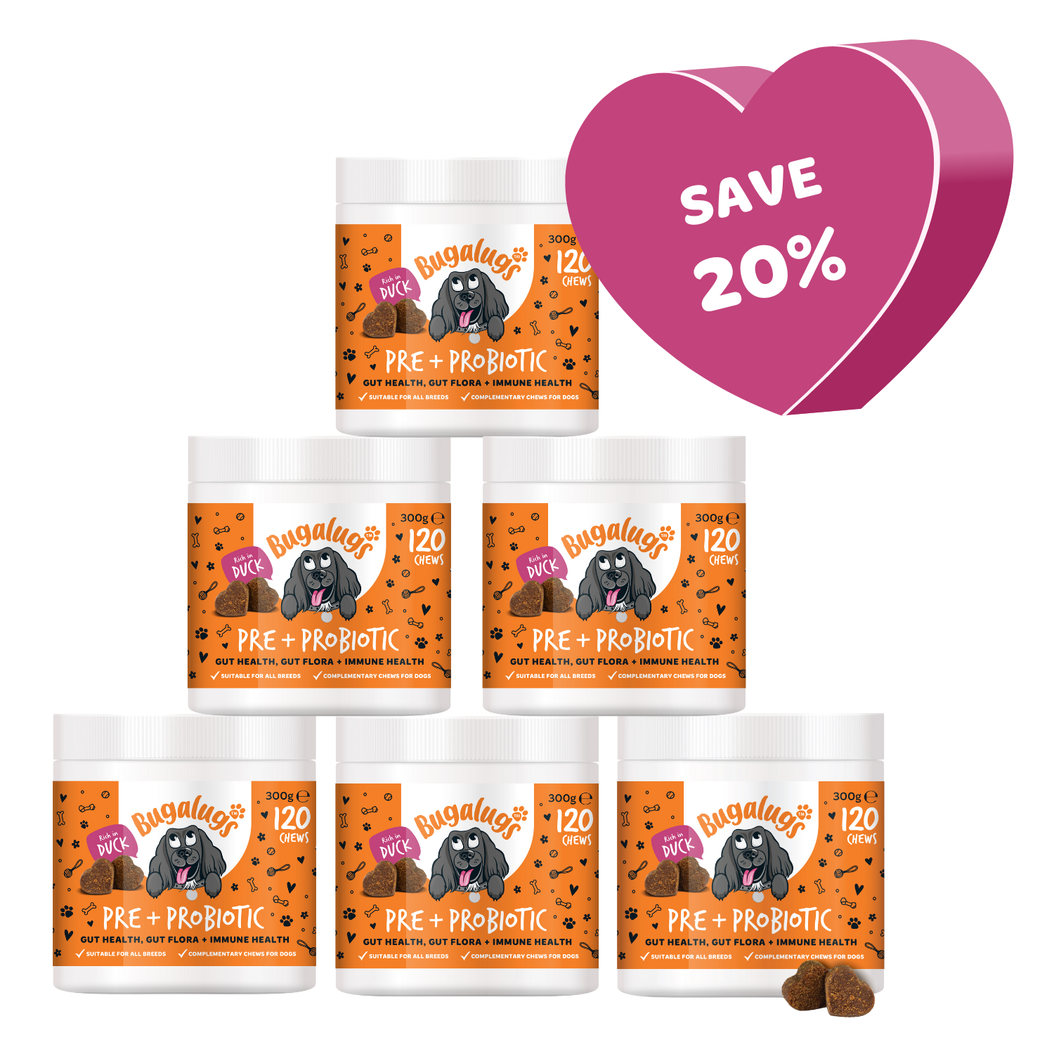 Pre & Probiotic Supplement Chews for Dogs 6-Pack