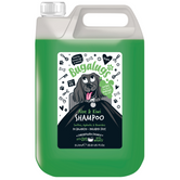 Aloe & Kiwi Soothing Dog Shampoo (5L)