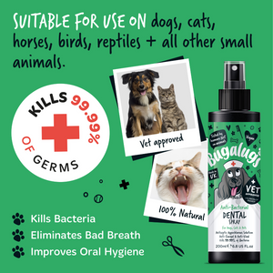 Bugalugs Anti-bacterial Dental Spray for Dogs, Cats and Pets - Suitable for use on dogs, cats, horses, birds, reptiles & all other small animals