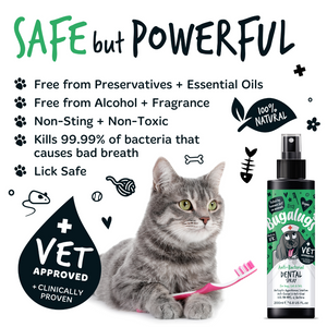 Bugalugs Anti-bacterial Dental Spray for Dogs, Cats and Pets - Safe but powerful