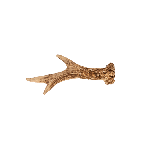 Natural Deer Antler Benefits For Dogs