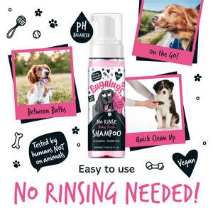 Bugalugs No Rinse Baby Fresh Shampoo for Dogs - Easy to use no rinsing needed!