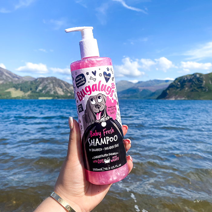 Baby Fresh Dog Shampoo in Lake District