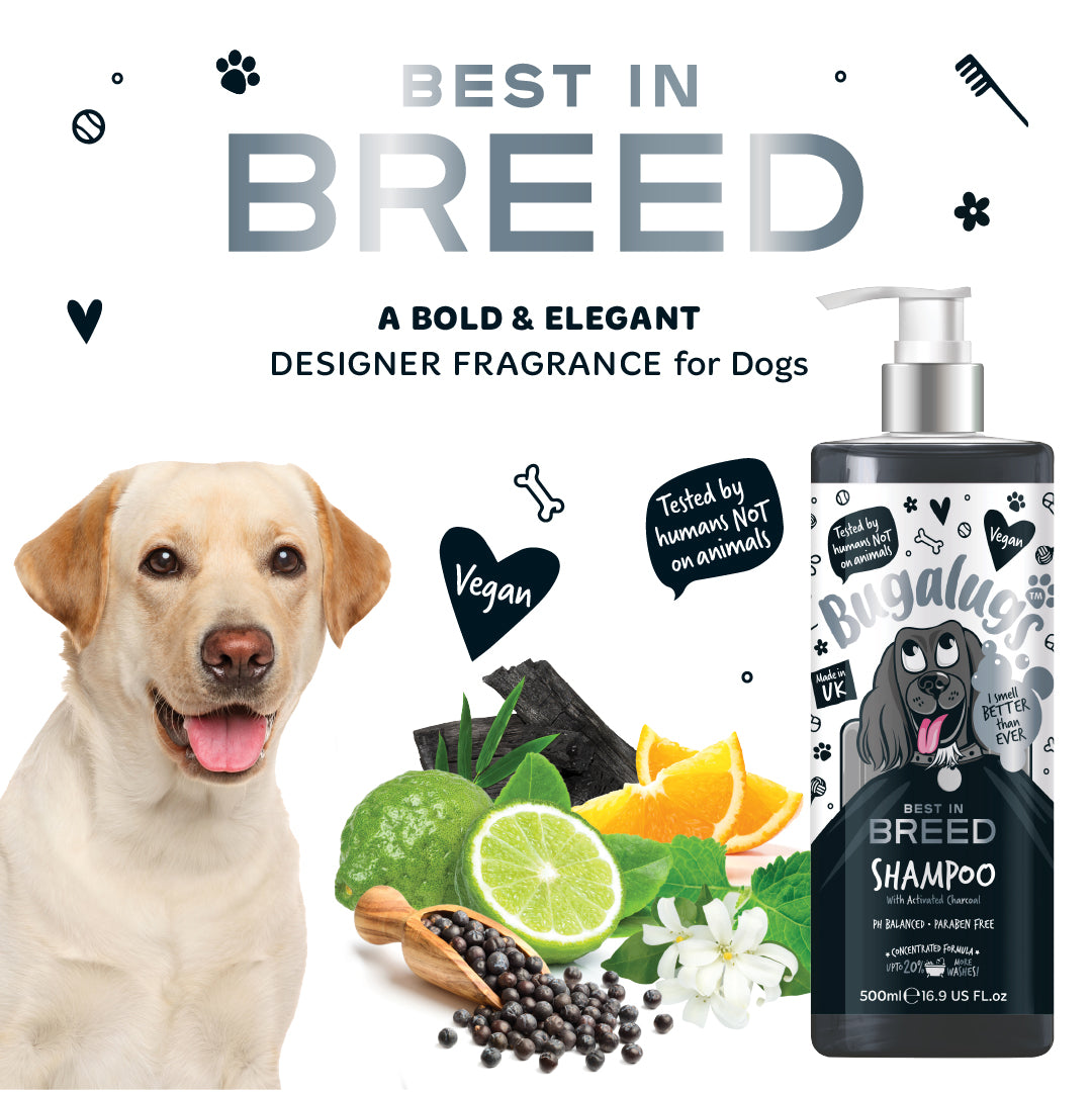 Bugalugs Best in Breed Shampoo - A bold and elegant designer fragrance shampoo for dogs