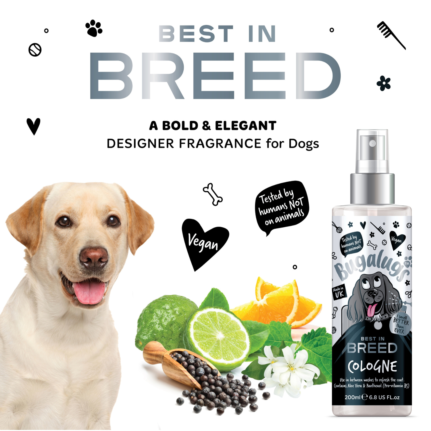 Bugalugs Best in Breed Cologne - A bold and elegant designer fragrance for dogs