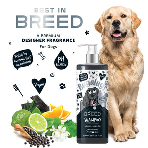 Bugalugs Best in Breed Shampoo - A premium designer fragranced shampoo for dogs