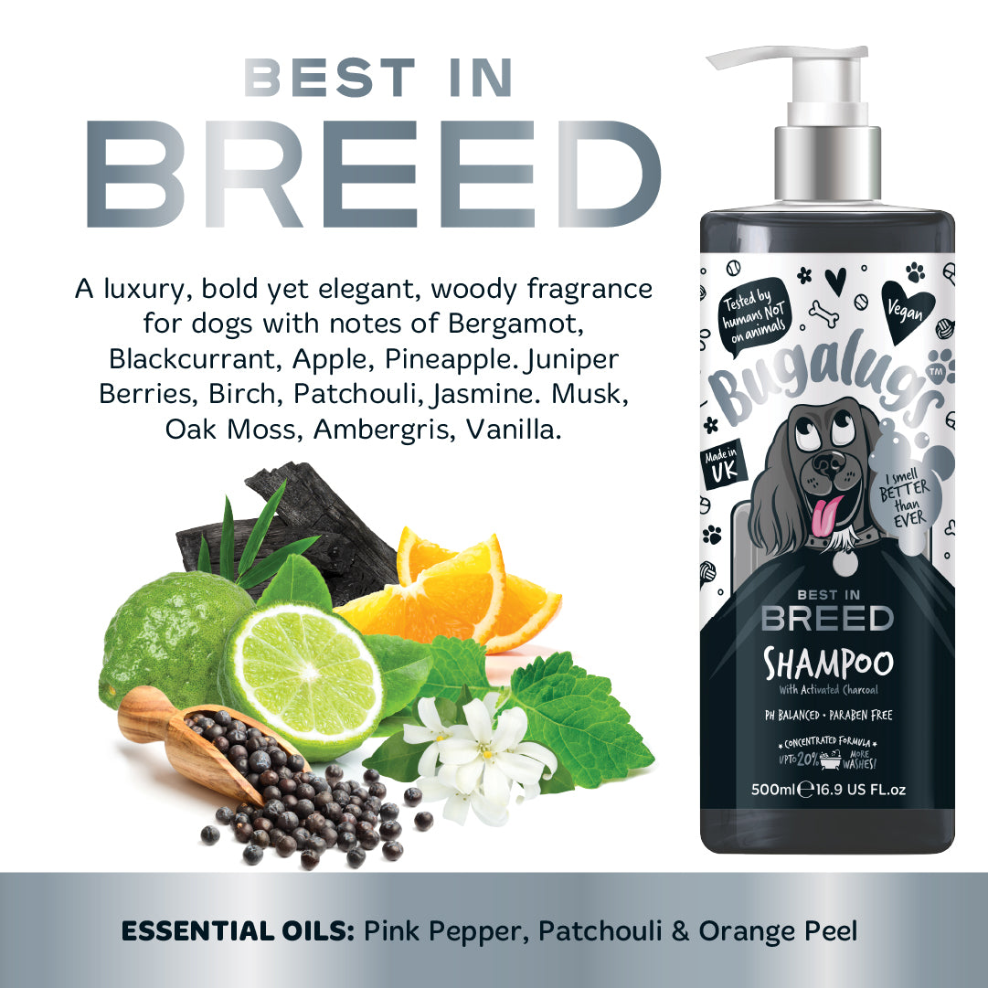 Bugalugs Best in Breed Shampoo - Essential oils including pink pepper, patchouli and orange peel