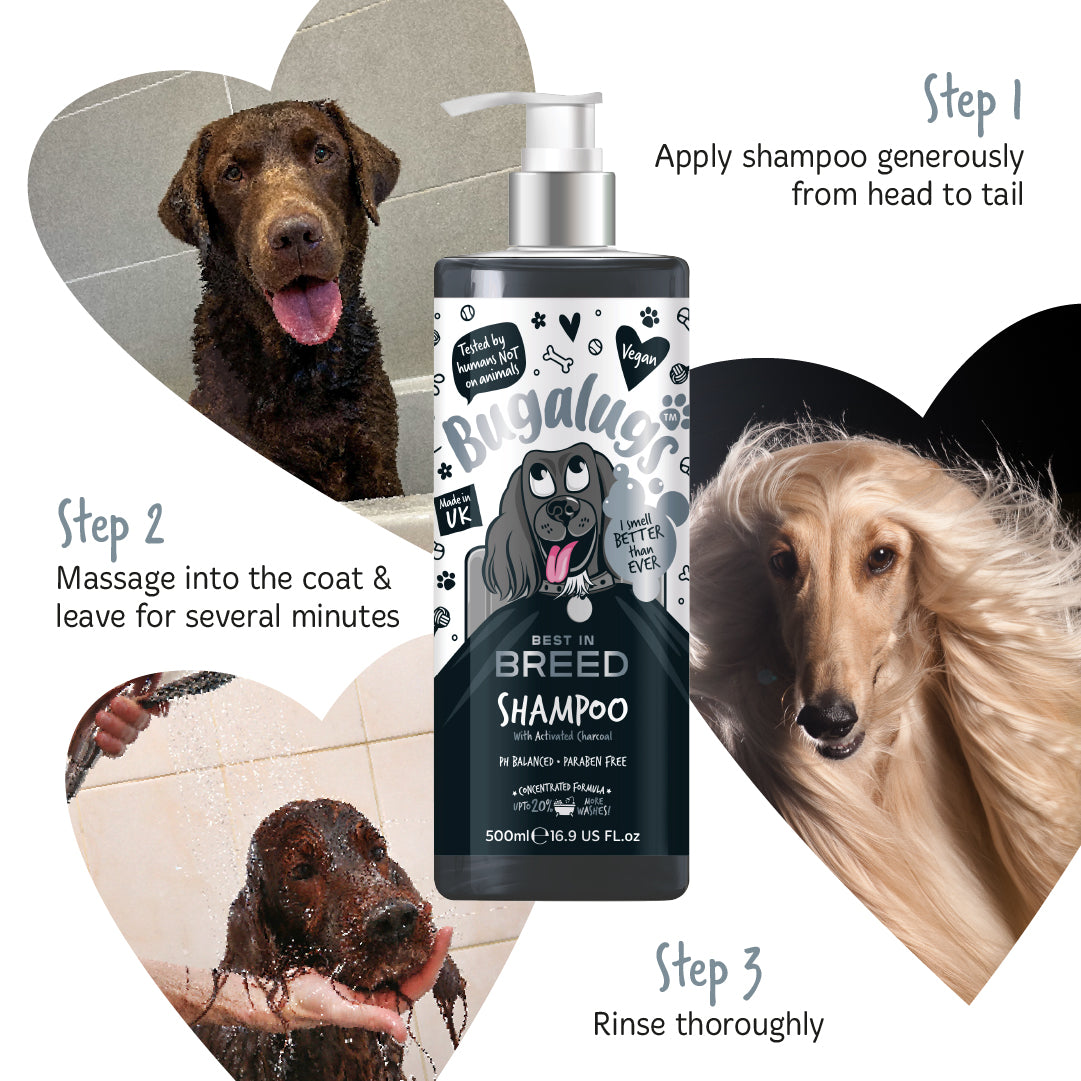 Bugalugs Best in Breed Shampoo for dogs - 3 steps - How to use