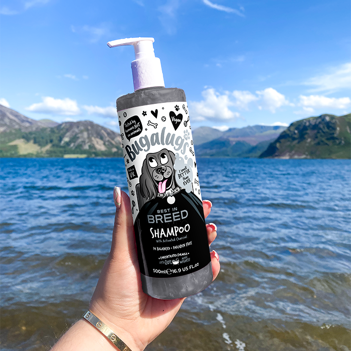 Best in Breed Dog Shampoo in Lake District