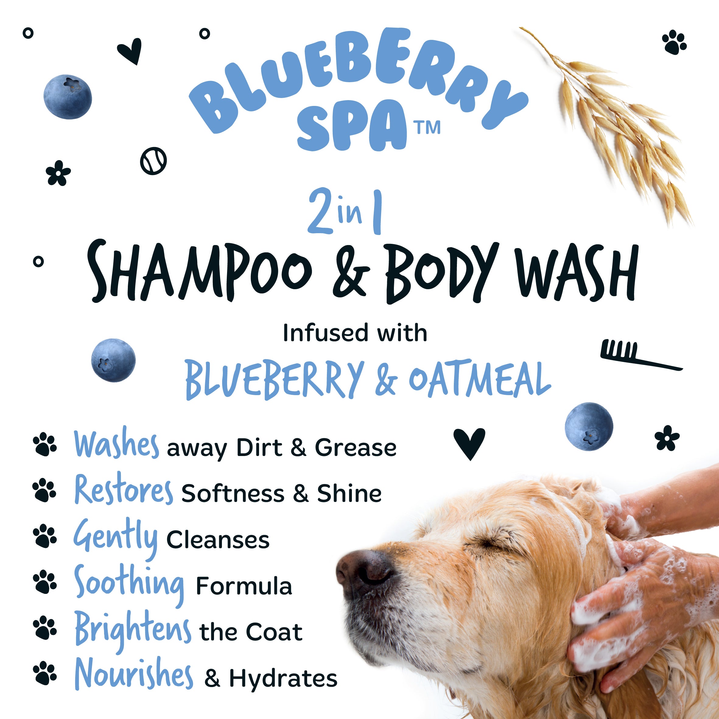 Blueberry Spa 2-in-1 Shampoo & Body Wash with a dog being washed and product details.